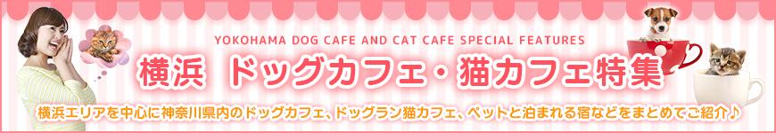 横浜ドッグカフェ・猫カフェ特集