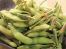 枝付き枝豆