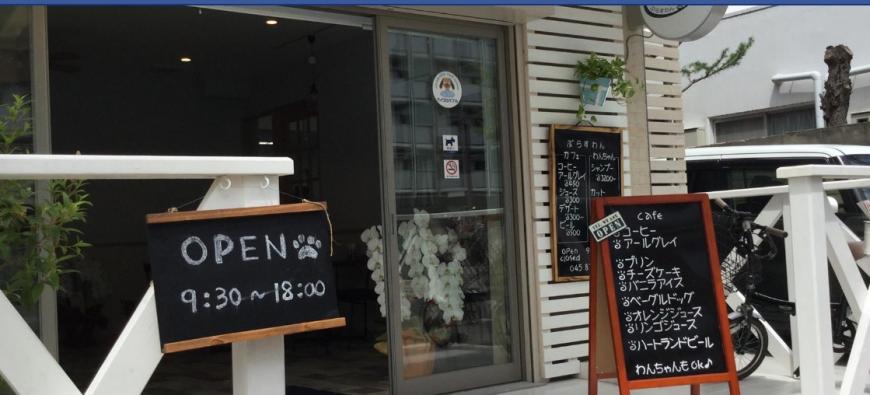 トリミング カフェ ぷらすわん 鳥浜 横浜市 横浜ドッグカフェ 猫カフェ特集 トリミング カフェ ぷらすわん 鳥浜 横浜市 横浜ドッグカフェ 猫カフェ特集