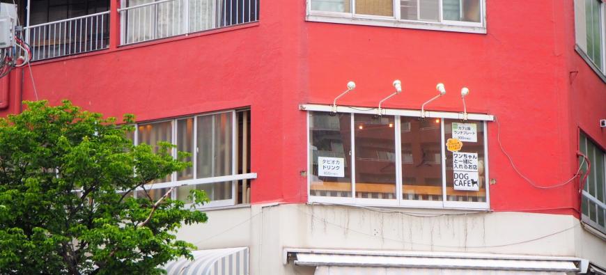 横浜市中区 DOG CAFE＆BAR GLOW ドッグカフェ＆バー グロウ～関内～フォト9