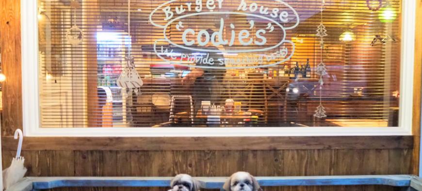 Burger house codie's コディーズ【店内わんちゃん同伴OK☆床または膝上ステイ、カートは外】~新山下~フォト3