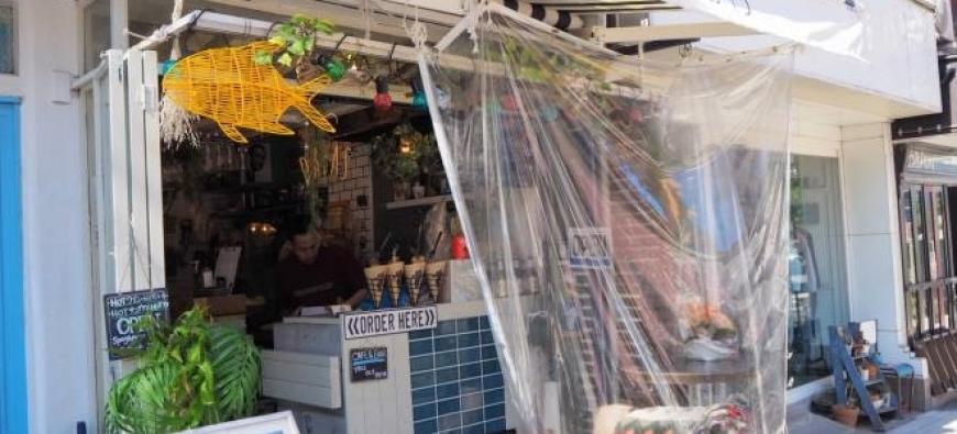 Dapas ダパス 店内わんちゃん同伴ok 日本大通り 横浜市 横浜ドッグカフェ 猫カフェ特集