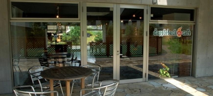 Dappleback Cafe ダップルバックカフェ はるひ野 川崎周辺 横浜ドッグカフェ 猫カフェ特集 Dappleback Cafe ダップルバックカフェ はるひ野 川崎周辺 横浜ドッグカフェ 猫カフェ特集