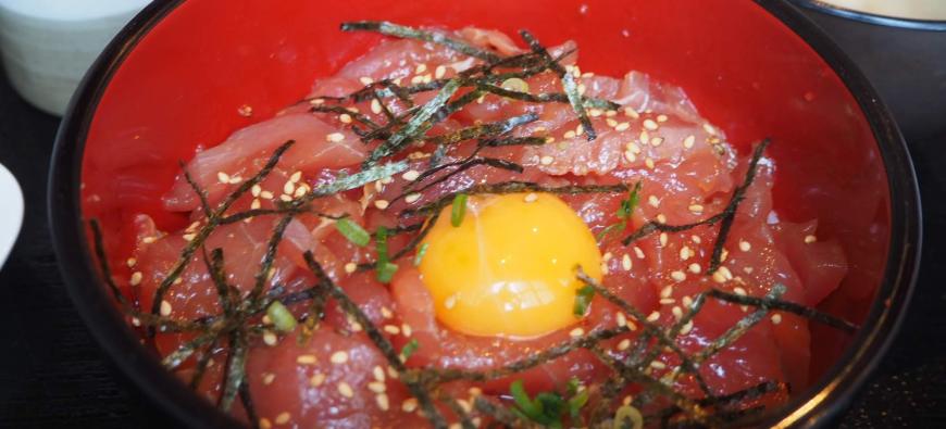 MOMO CAFE ドッグカフェモモカフェ～保土ヶ谷～フォト5
