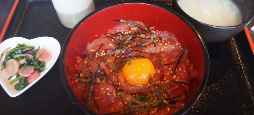 MOMO CAFE ドッグカフェモモカフェ～保土ヶ谷～フォト6