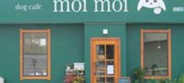 dog cafe moi moi